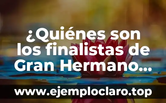 ¿Quiénes son los finalistas de Gran Hermano Dúo? – Conoce a los concursantes más populares