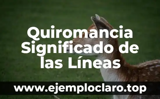 El Significado Emocional de Dibujar Líneas 4 Quiromancia Significado de las Líneas