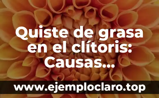 ¿Qué es un quiste en el ovario? - Definición, causas, síntomas y tratamientos 6 Quiste de grasa en el clítoris: Causas, Síntomas y Tratamientos