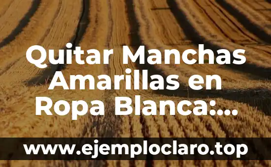 Cómo Quitar Manchas de la Plancha: Guía Definitiva 6 Quitar Manchas Amarillas en Ropa Blanca: Guía Definitiva
