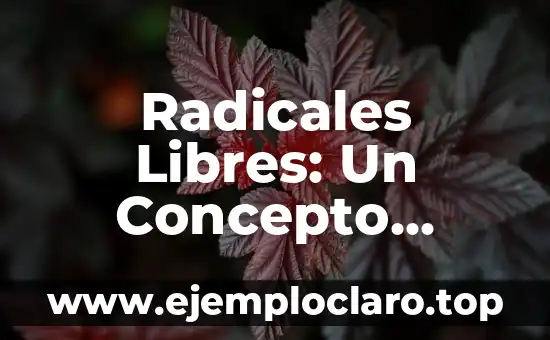 La Impenetrabilidad: Un Concepto Fascinante 8 Radicales Libres: Un Concepto Fundamental en la Química y la Biología