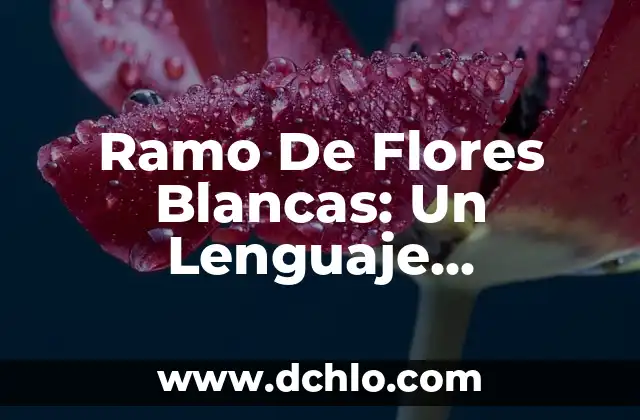 Flor con significado de tristeza: El lenguaje silencioso de las flores 3 Ramo De Flores Blancas: Un Lenguaje Silencioso