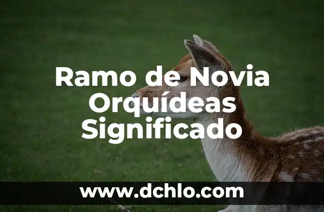 Ramo de Novia Azul Significado: El Simbolismo Detrás de las Flores Azules 4 Ramo de Novia Orquídeas Significado