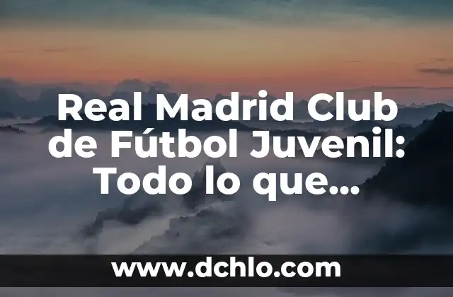 Posiciones de Alianza Lima contra Club Libertad en el Fútbol Internacional 6 Real Madrid Club de Fútbol Juvenil: Todo lo que Necesitas Saber