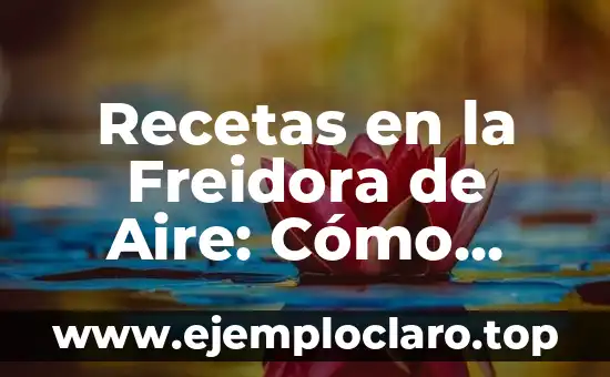 Comida para Navidad Fácil de Preparar: Ideas y Recetas para una Fiesta Inolvidable 7 Recetas en la Freidora de Aire: Cómo Cocinar Comida Deliciosa de Forma Saludable