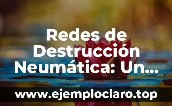 El significado insuficiente de las palabras: Un enfoque detallado 6 Redes de Destrucción Neumática: Un Enfoque Técnico