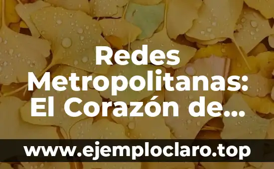 Redes Metropolitanas: El Corazón de las Comunicaciones Urbanas