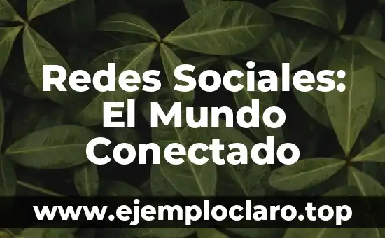 Instalación de Equipos y Redes: Todo lo que Necesitas Saber 7 Redes Sociales: El Mundo Conectado