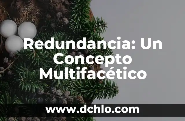 Resistencia: Un Concepto Multifacético 3 Redundancia: Un Concepto Multifacético