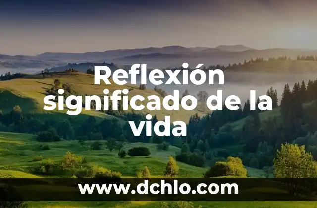 Reflexión sobre el significado de la Navidad 3 Reflexión significado de la vida