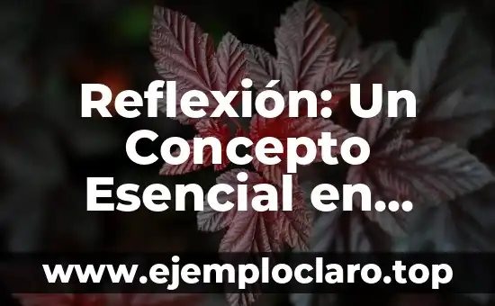 Reflexión: Un Concepto Esencial en Nuestro Mundo