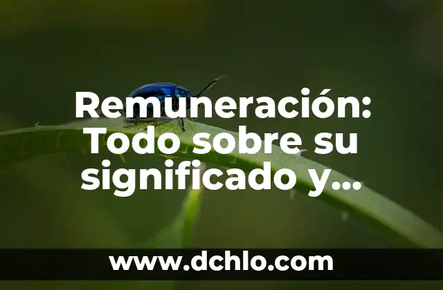Ask: Un Concepto Universal 7 Remuneración: Todo sobre su significado y concepto