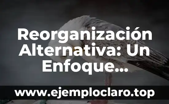 Reorganización Alternativa: Un Enfoque Innovador
