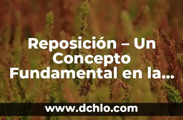 Inventarios de Materiales y Desperdicio: Un Enfoque Integral 4 Reposición – Un Concepto Fundamental en la Gestión de Inventarios