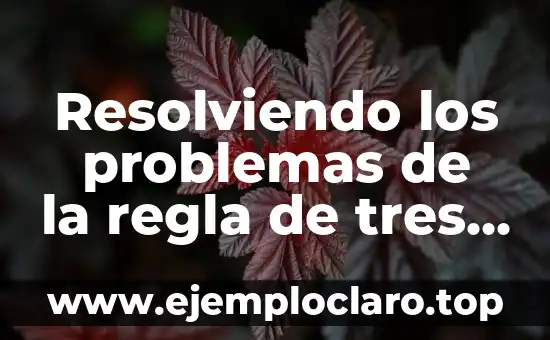 Como hacer problemas de herencia de un solo gen 5 Resolviendo los problemas de la regla de tres en matemáticas