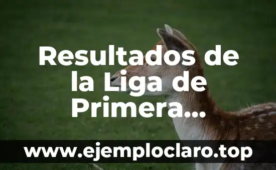 Wonder Woman Liga de la Justicia: La Unión de la Heroína Más Poderosa con los Héroes Más Legendarios 8 Resultados de la Liga de Primera División – Últimos Partidos y Clasificación