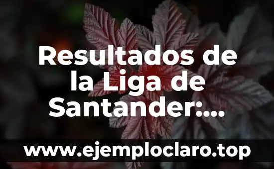 Como queda la clasificación de la Liga Santander 5 Resultados de la Liga de Santander: Noticias, Posiciones y Partidos