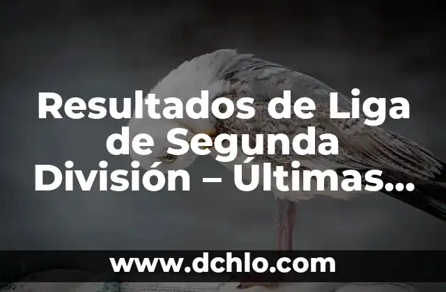 Ver Resultados de Fútbol de Primera y Segunda División en Vivo 3 Resultados de Liga de Segunda División – Últimas Noticias y Clasificaciones