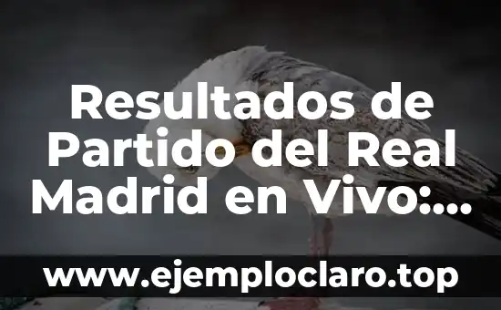 Resultados de Partido del Real Madrid en Vivo: Últimas Noticias y Análisis