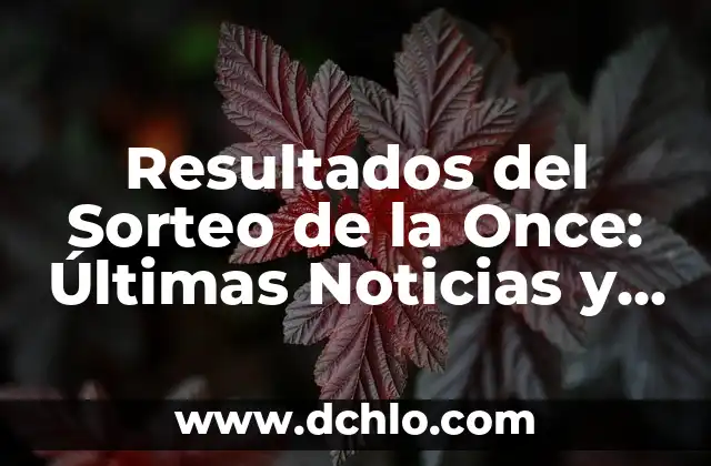 Resultados de Partido del Real Madrid en Vivo: Últimas Noticias y Análisis 7 Resultados del Sorteo de la Once: Últimas Noticias y Análisis