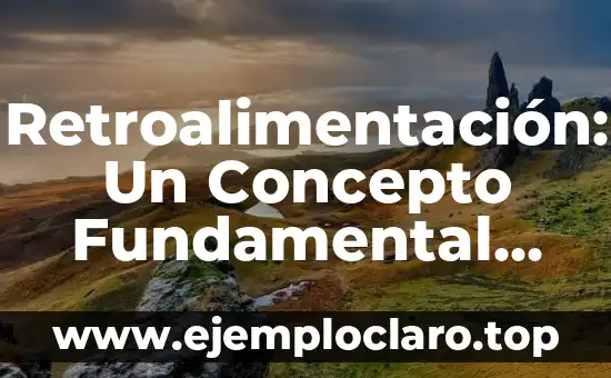 Retroalimentación: Un Concepto Fundamental en Diversos Campos