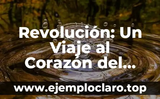 Revolución: Un Viaje al Corazón del Cambio Social y Político