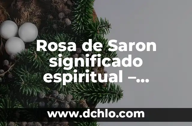 Rosa labios de mujer significado: Un viaje por el simbolismo y la belleza 6 Rosa de Saron significado espiritual – Descubre su Profundo Simbolismo
