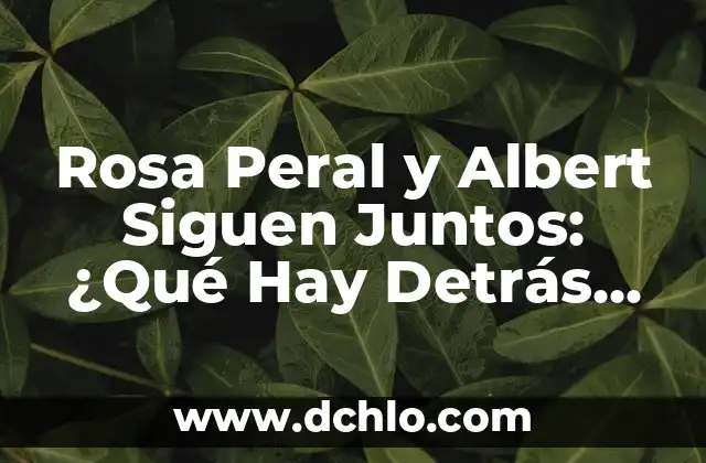 Panamericanismo, un concepto esencial en la unión continental 7 Rosa Peral y Albert Siguen Juntos: ¿Qué Hay Detrás de Esta Unión?