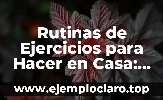 Remo con Mancuernas a Una Mano: Entrena tus Hombros y Espalda de Forma Efectiva 8 Rutinas de Ejercicios para Hacer en Casa: Entrena sin Salir de la Comodidad de Tu Hogar