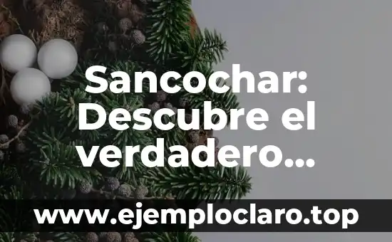 Sancochar: Descubre el verdadero significado y su importancia