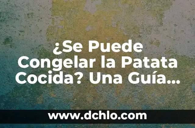 Metafísica y significado de problemas vaginales: Una guía detallada 5 ¿Se Puede Congelar la Patata Cocida? Una Guía Completa