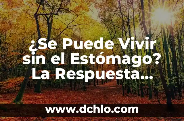 De qué color es el sol - Descubre la respuesta sorprendente 4 ¿Se Puede Vivir sin el Estómago? La Respuesta Sorprendente