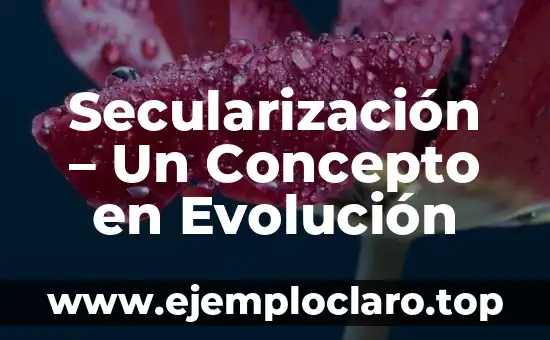 Secularización - Un Concepto en Evolución