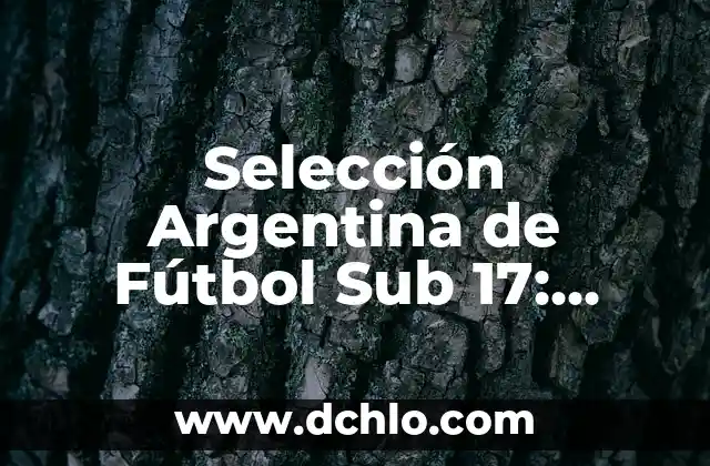 ¿Cómo a quedado la selección española de fútbol después de la Era de Tiki-Taka? 4 Selección Argentina de Fútbol Sub 17: Todo lo que necesitas saber