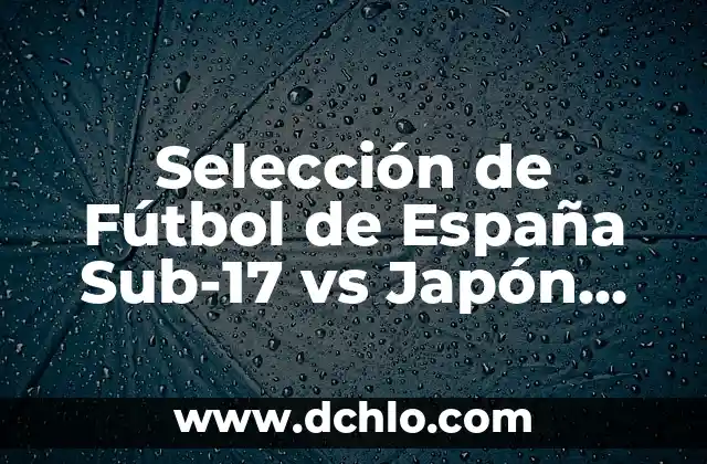 Japon Significado de la Bandera 8 Selección de Fútbol de España Sub-17 vs Japón Sub-17: Análisis y Estadísticas