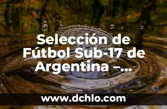 Selección de Fútbol de España Femenina: Todo lo que Necesitas Saber 6 Selección de Fútbol Sub-17 de Argentina – Historia y Logros