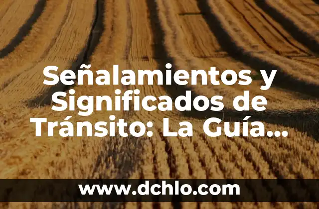Tipos de Señalamientos y su Significado 4 Señalamientos y Significados de Tránsito: La Guía Completa