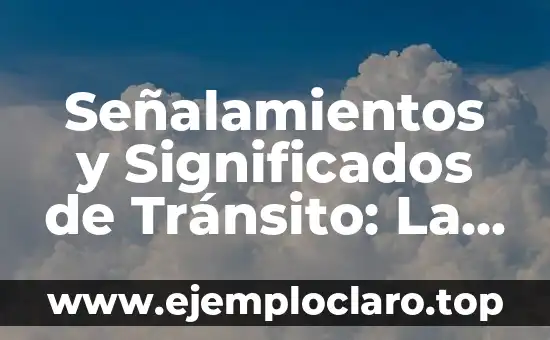 Señalamientos y Significados de Tránsito: La Guía Completa