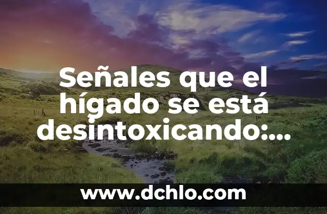Infusiones para Limpiar el Hígado y la Vesícula: Una Guía Completa 3 Señales que el hígado se está desintoxicando: ¿Cómo saber si tu cuerpo está limpiándose?