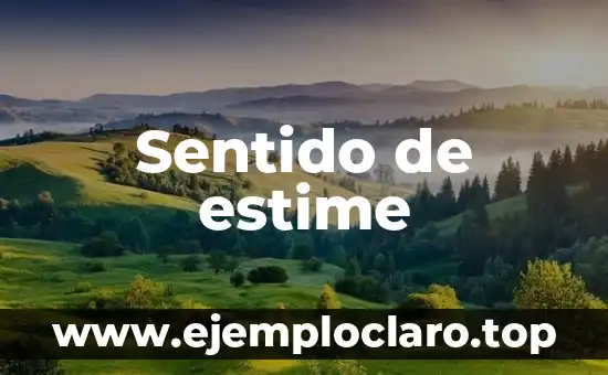Sentido de estime