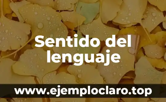 Sentido del lenguaje