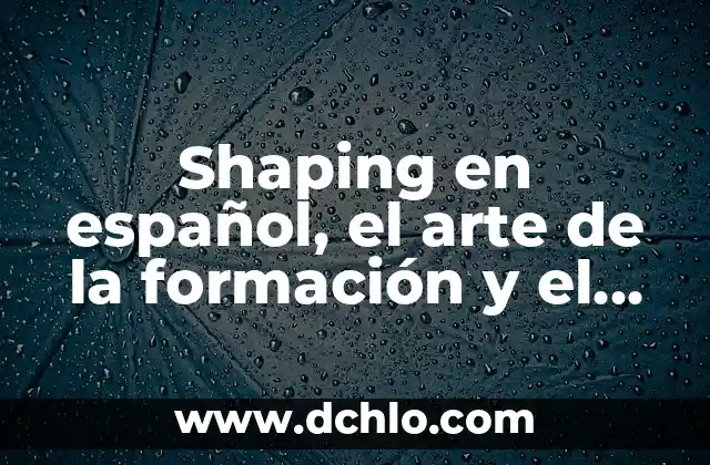 Significado en español de Sharknado 5 Shaping en español, el arte de la formación y el modelado