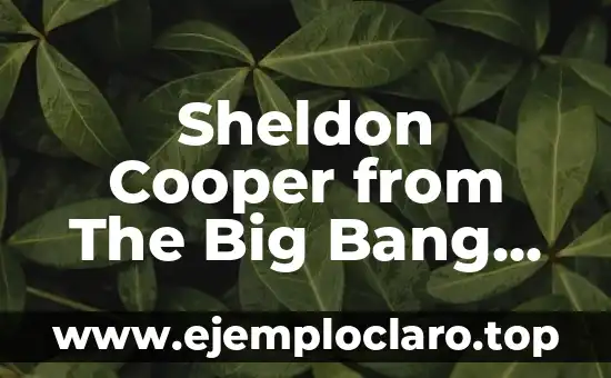 Sheldon Cooper from The Big Bang Theory: The Lovable Genius