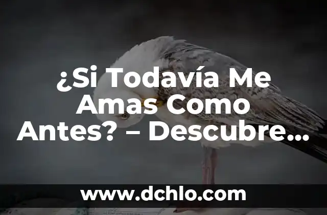 De qué se acusa a Begoña, la verdad detrás de la polémica 7 ¿Si Todavía Me Amas Como Antes? – Descubre la Verdad