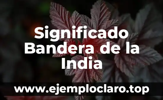 Significado Bandera de la India