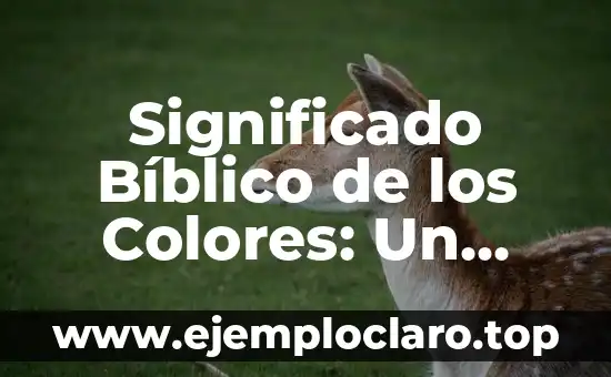 Significado Bíblico de los Colores: Un Viaje a Través de la Simbología Divina