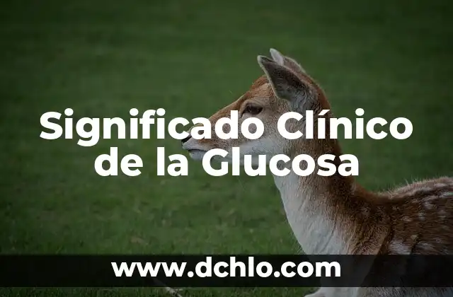 Significado de 'Cruz de Navajas' de Mecano: Un Análisis Profundo 4 Significado Clínico de la Glucosa
