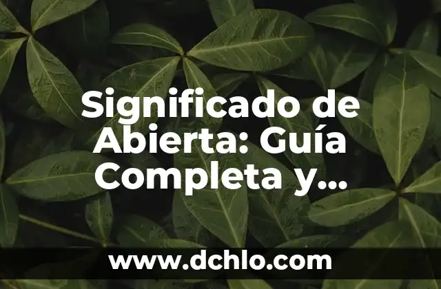 Mentalidad Abierta Significado 8 Significado de Abierta: Guía Completa y Detallada