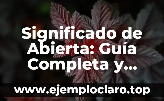 Significado de Abierta: Guía Completa y Detallada