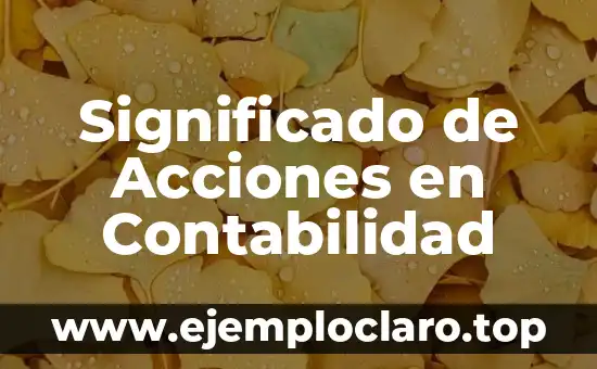 ¿Qué es la devolución de ventas en contabilidad? 3 Significado de Acciones en Contabilidad